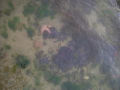 Tuesday July 12, 2011 10:31 - 100_1100 (2).JPG